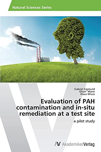 Evaluation of PAH contamination and in-situ remediation at a test site: a pilot study