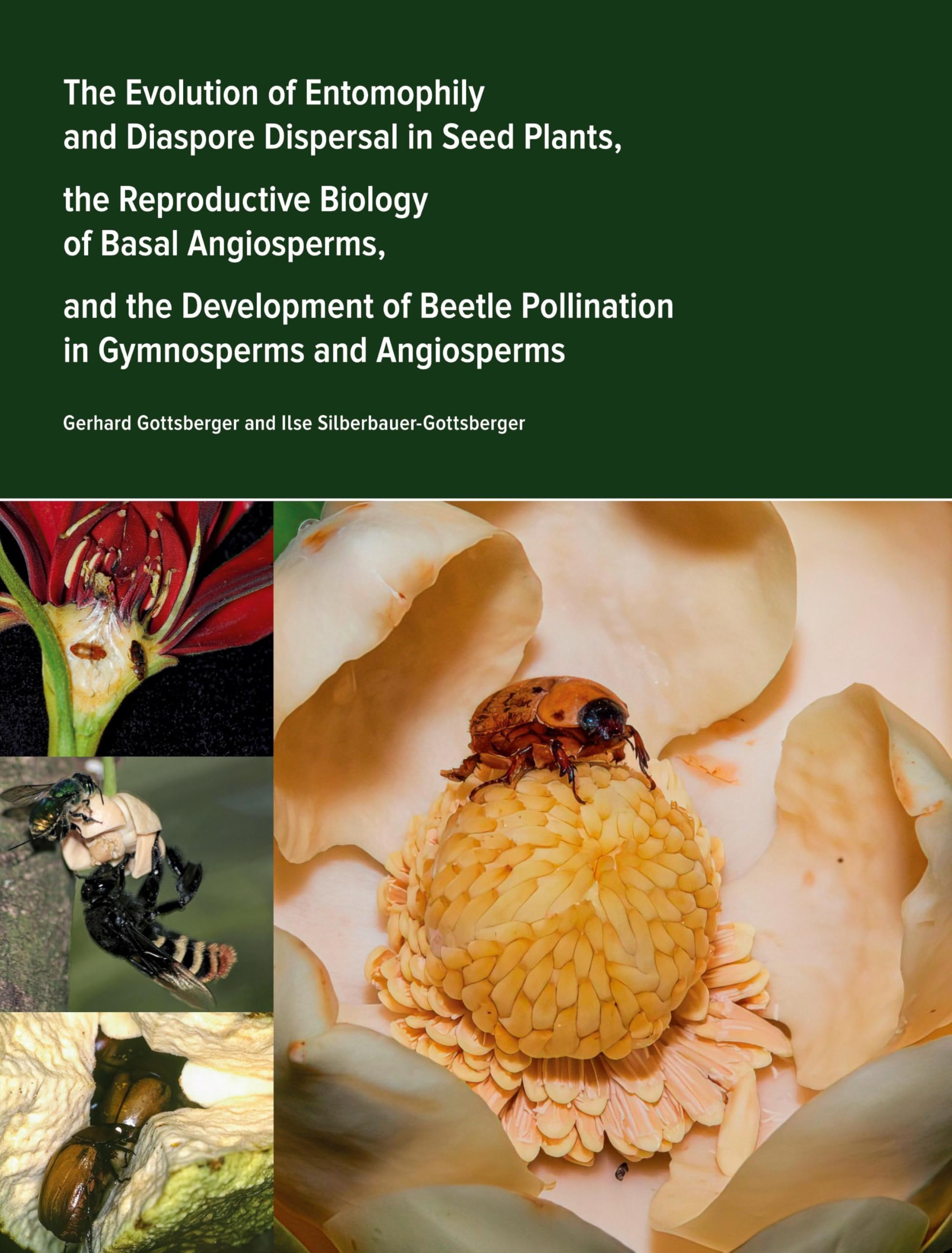 The Evolution of Entomophily and Diaspore Dispersal in Seed Plants, the Reproductive Biology of Basal Angiosperms, and the Development of Beetle ... systems) during the last 400 million years.