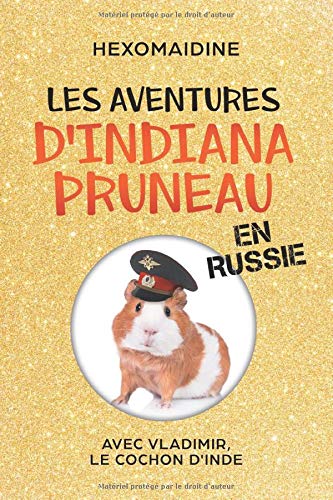 Les Aventures D'indiana Pruneau