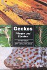 Geckos pflegen und züchten im Terrarium