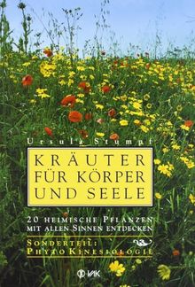 Kräuter für Körper und Seele: 20 heimische Pflanzen mit allen Sinnen entdecken. Sonderteil PhytoKinesiologie