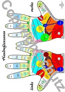 Handreflexzonen Übersichtskarte DIN A5 (Lehrtafeln / Übersichtskarten)