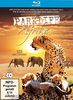 Parklife Afrika [Blu-ray]