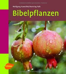 Bibelpflanzen kennen und kultivieren