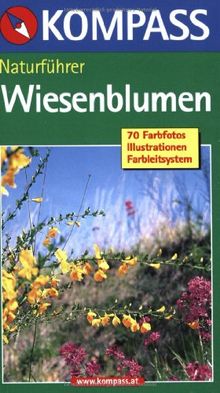 Naturführer Wiesenblumen: Ihr handlicher Begleiter in der Natur. 70 Wiesenblumen, großartige Fotos, Farbleitsystem, extra Beschreibungen