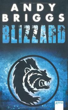 Blizzard