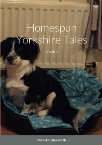 Homespun Yorkshire Tales: BOOK 2