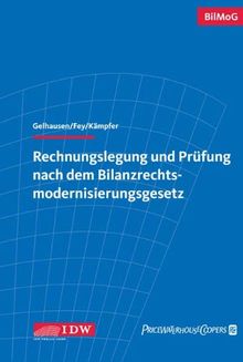 Rechnungslegung und Prüfung nach dem Bilanzrechtsmodernisierungsgesetz