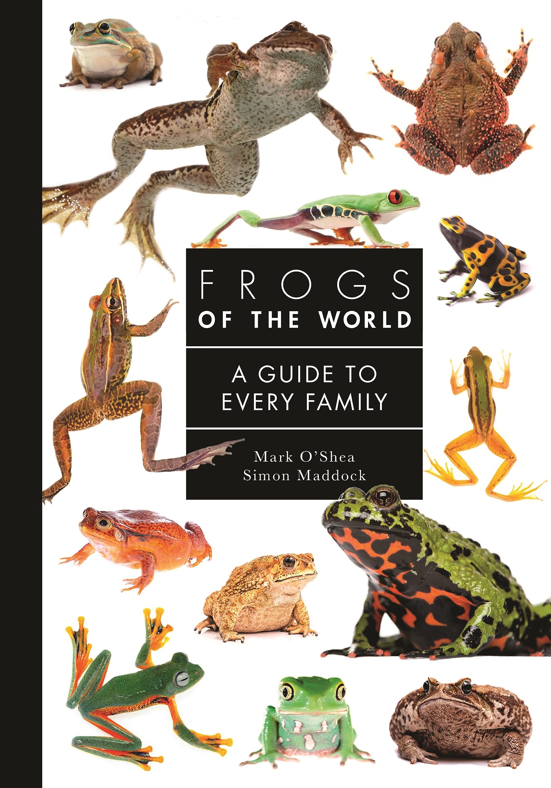 Frogs of the World: A Guide to Every Family (Guide to Every Family, 9)