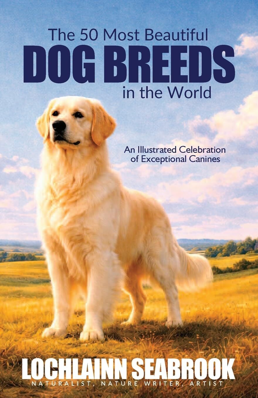 The 50 Most Beautiful Dog Breeds in the World