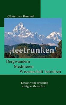 'teetrunken': Bergwandern, Meditieren, Wissenschaft betreiben - Essays von dreiteilig einigen Menschen