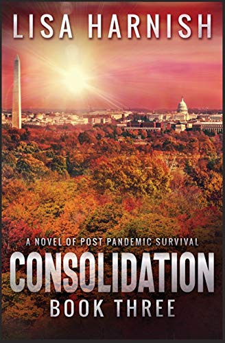 Consolidation: Book Three