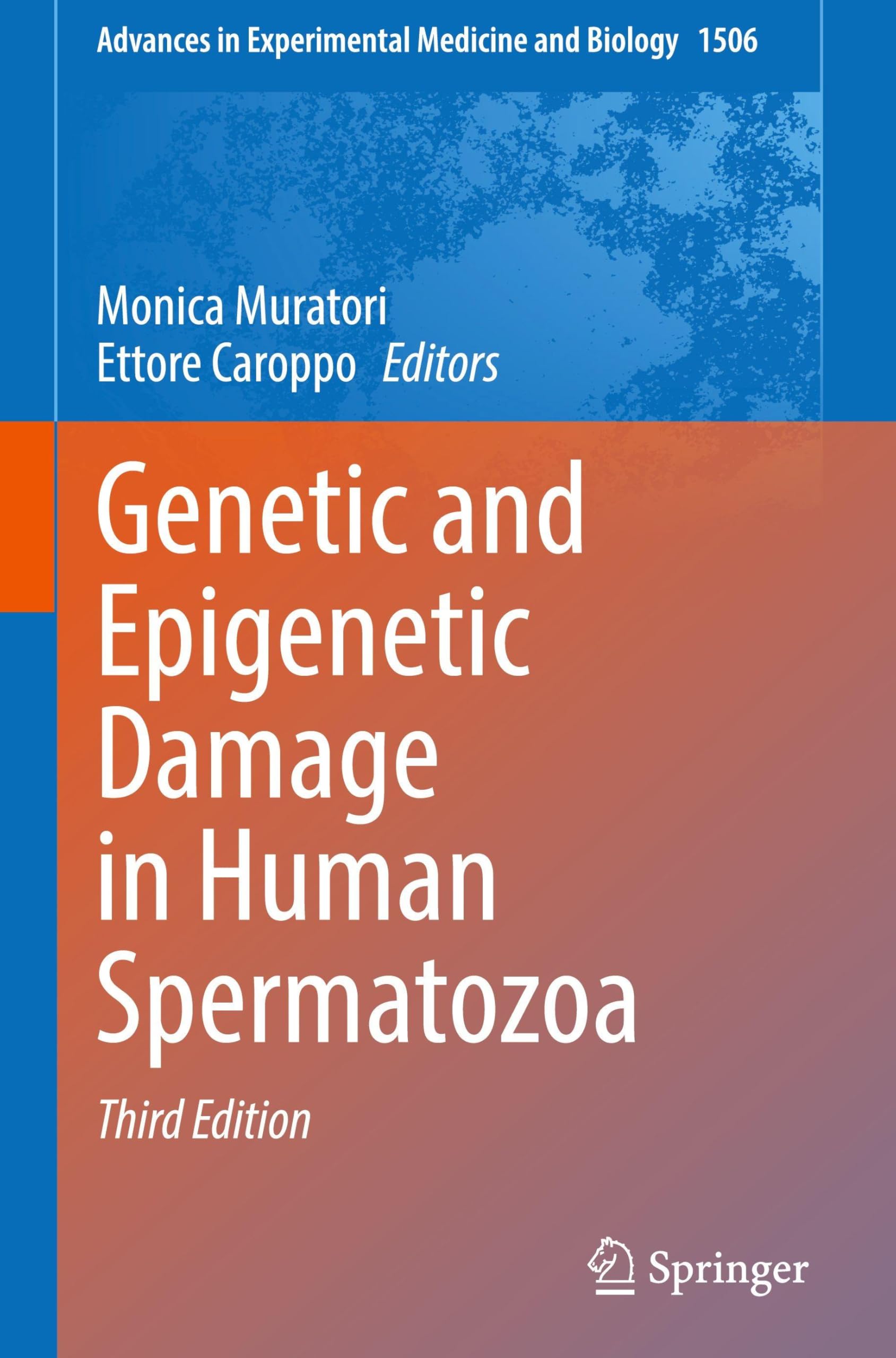 Genetic and Epigenetic Damage in Human Spermatozoa