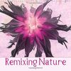 Remixing Nature (Wall Calendar 2015 300 × 300 mm Square) (Calvendo Nature)
