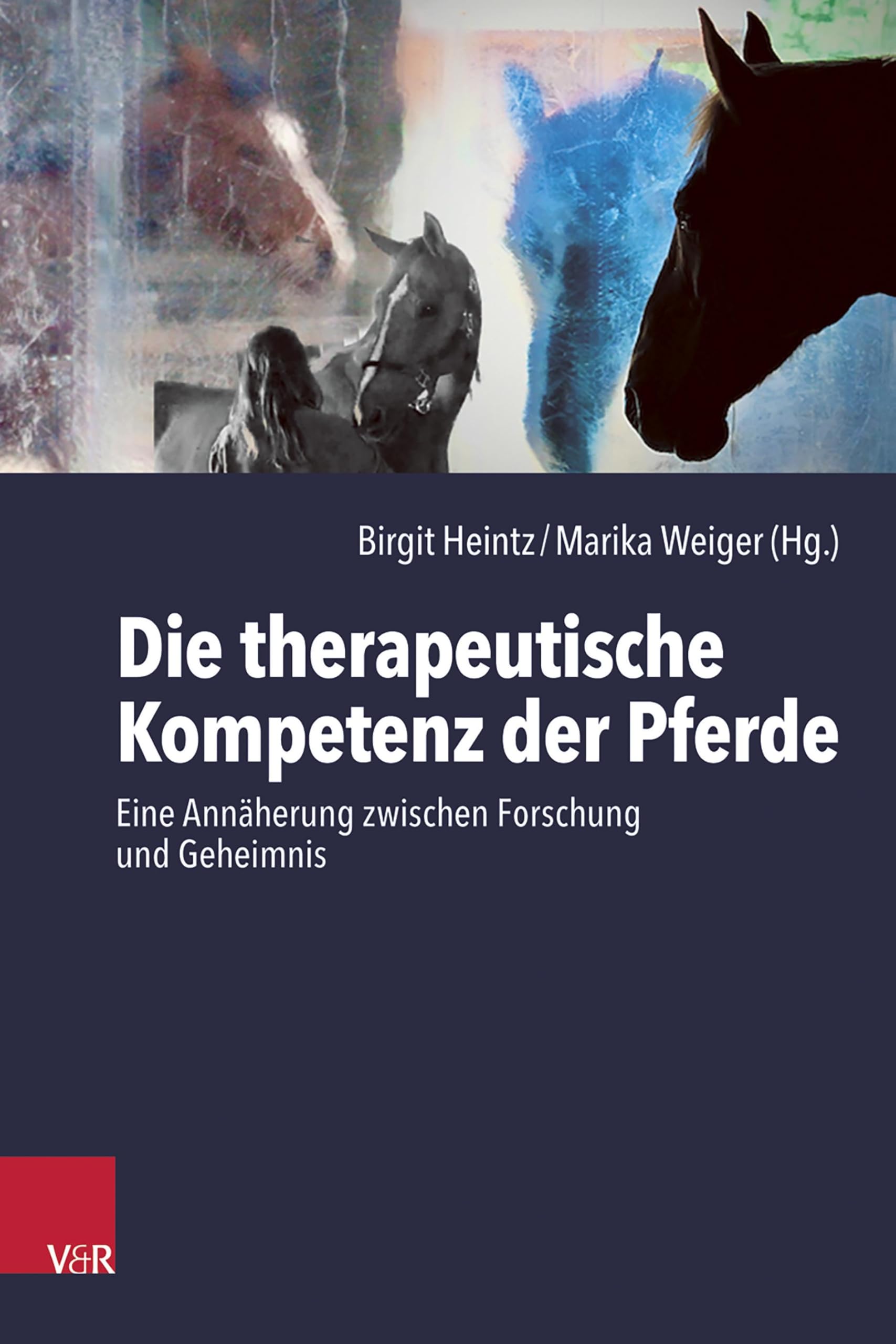 Die therapeutische Kompetenz der Pferde: Eine Annäherung zwischen Forschung und Geheimnis