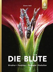 Die Blüte: Struktur, Funktion, Ökologie, Evolution