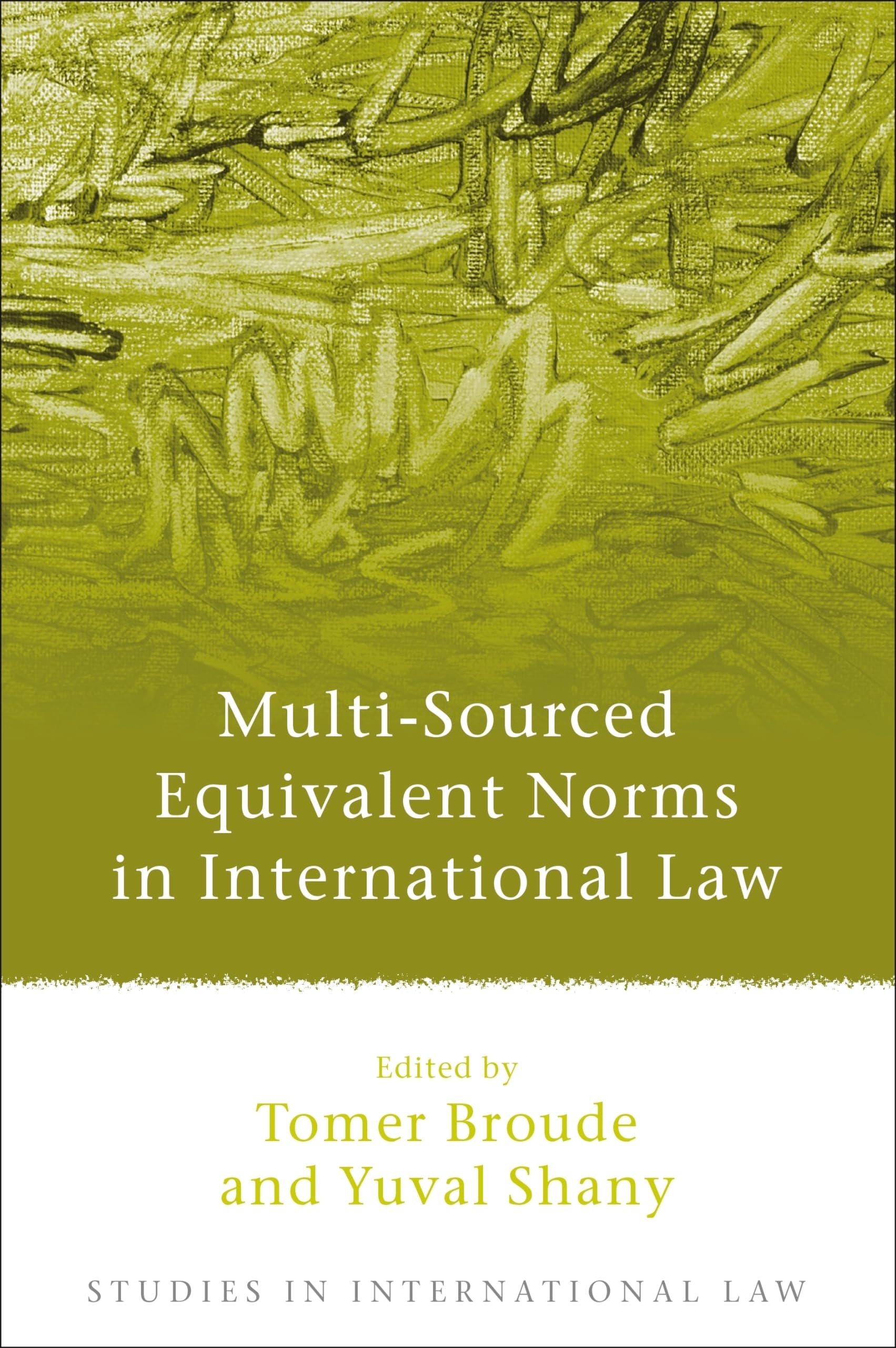 Multi-Sourced Equivalent Norms in International Law (Studies in International Law, Band 32)