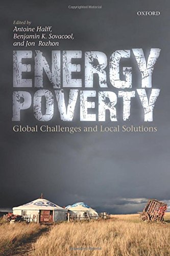 Energy Poverty: Global Challenges and Local Solutions