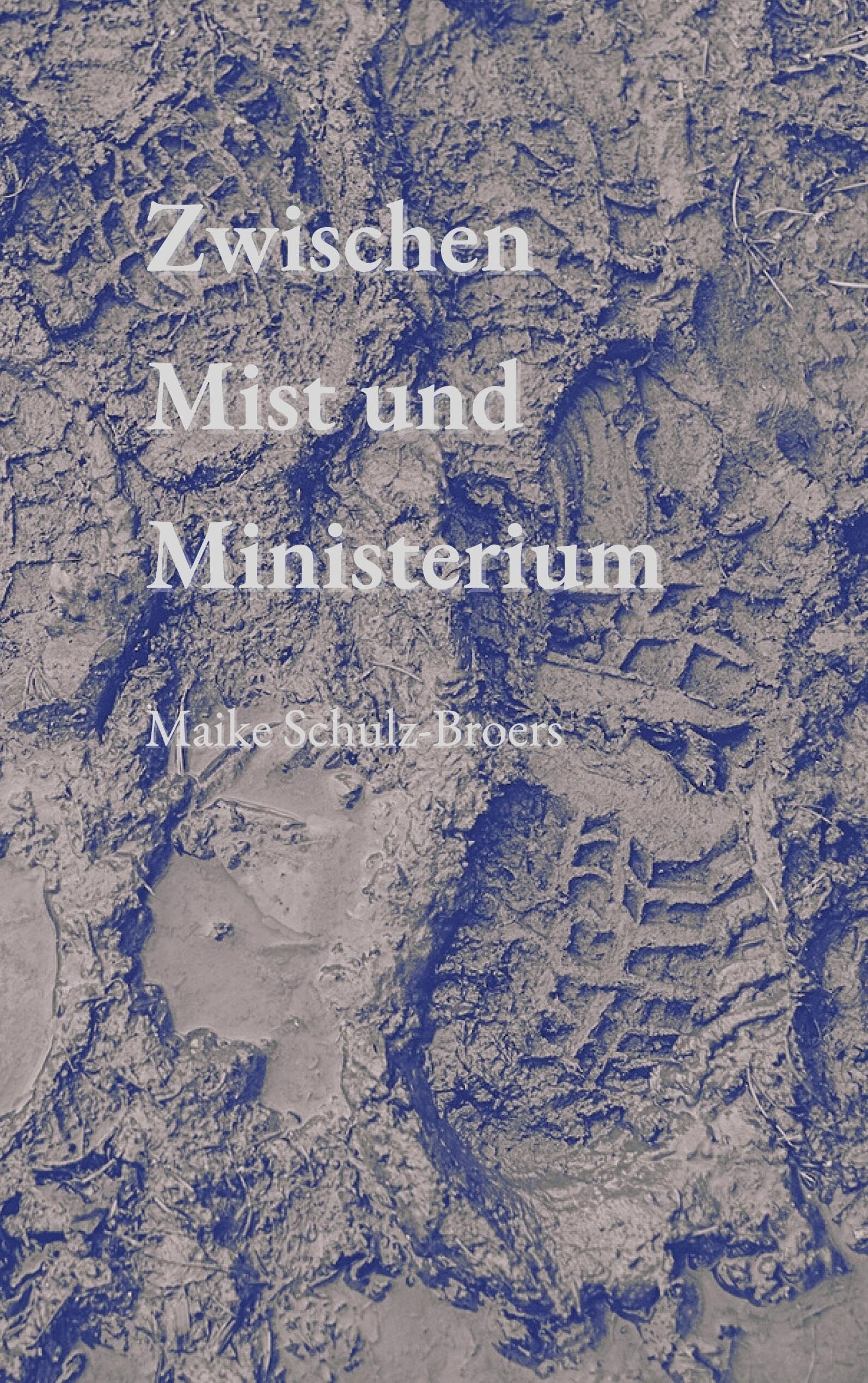 Zwischen Mist  und Ministerium