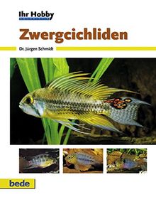 Zwergcichliden, Ihr Hobby