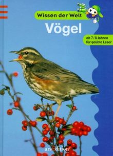 Vögel