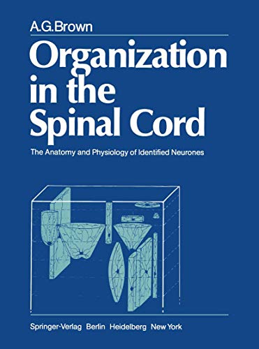 Organization in the Spinal Cord: The Anatomy And Physiology Of Identified Neurones