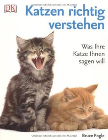 Katzen richtig verstehen. Was Ihre Katze Ihnen sagen will