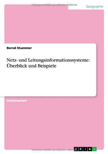 Netz- und Leitungsinformationssysteme: Überblick und Beispiele