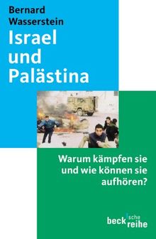 Israel und Palästina - Warum kämpfen sie und wie können sie aufhören?