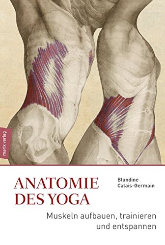 Anatomie Im Yoga Muskeln Aufbauen Trainieren Und Entspannen Von Blandine Calais Germain