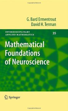 Mathematical Foundations of Neuroscience (Interdisciplinary Applied Mathematics)