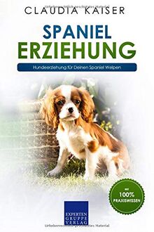 Spaniel Erziehung: Hundeerziehung für Deinen Spaniel Welpen