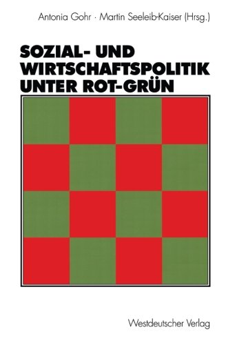 Sozial- und Wirtschaftspolitik unter Rot-Grün (German Edition)