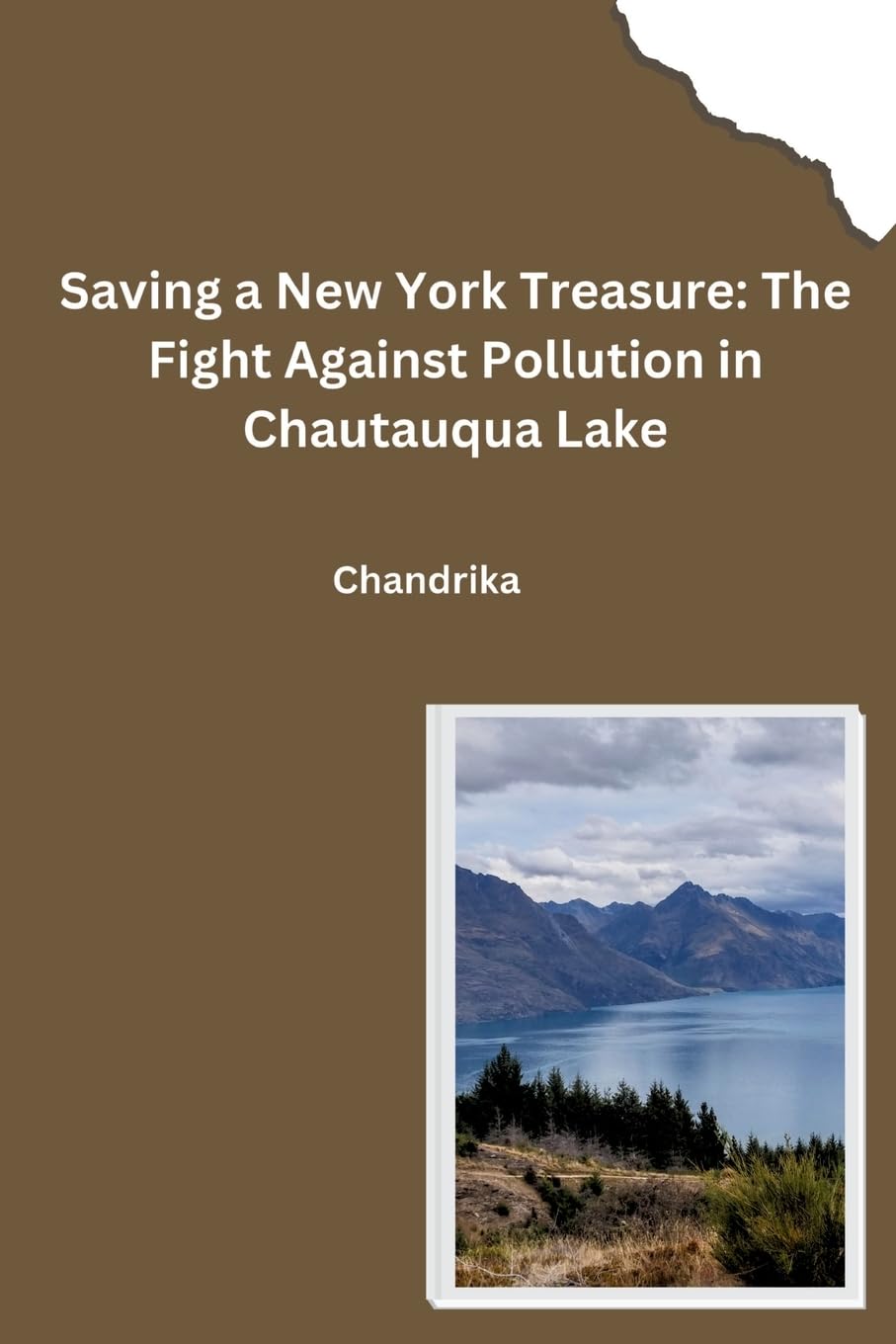 Saving a New York Treasure: The Fight Against Pollution in Chautauqua Lake: DE
