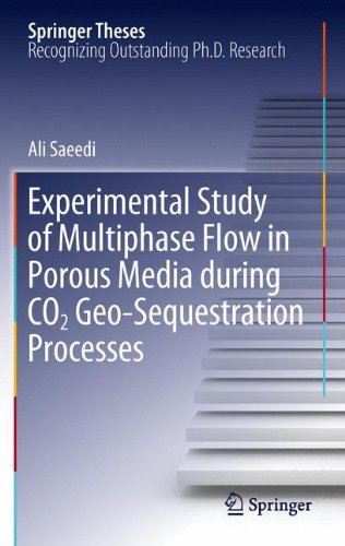 Experimental Study of Multiphase Flow in Porous Media during CO2 Geo-Sequestration Processes (Springer Theses)