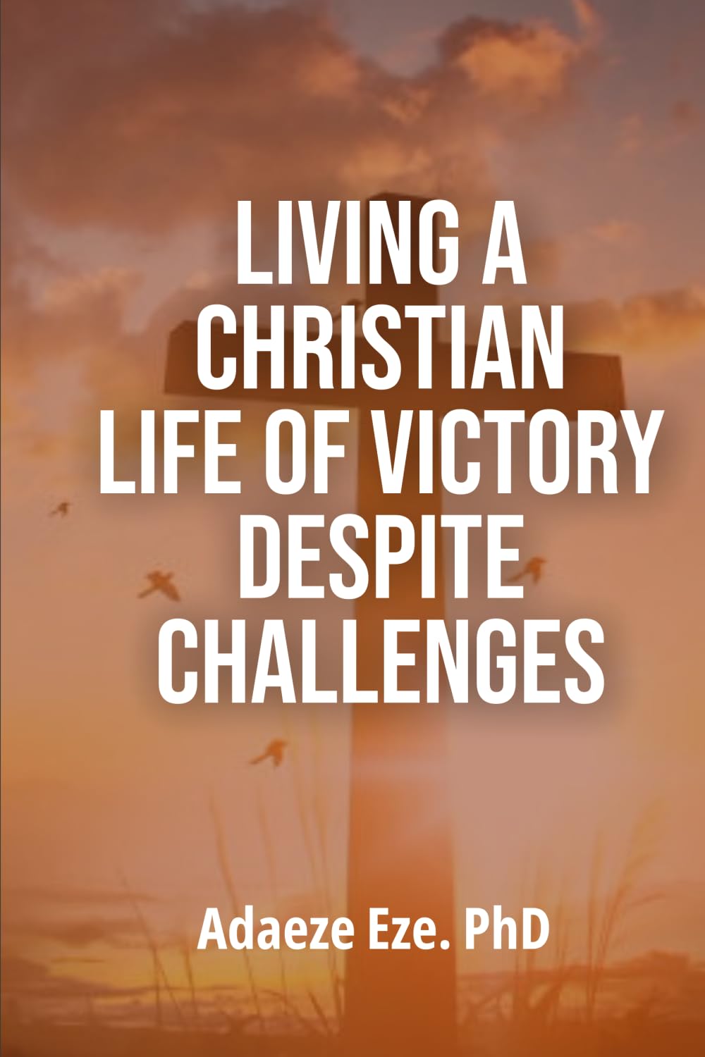 Living a Christian Life of Victory Despite Challenges