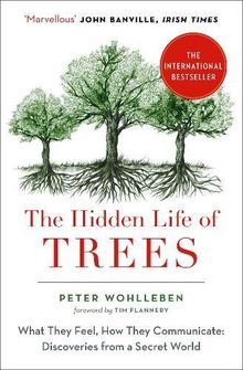 The Hidden Life of Trees: What They Feel, How They Communicate