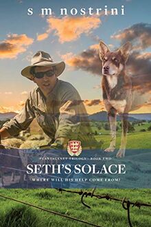 Seth's Solace