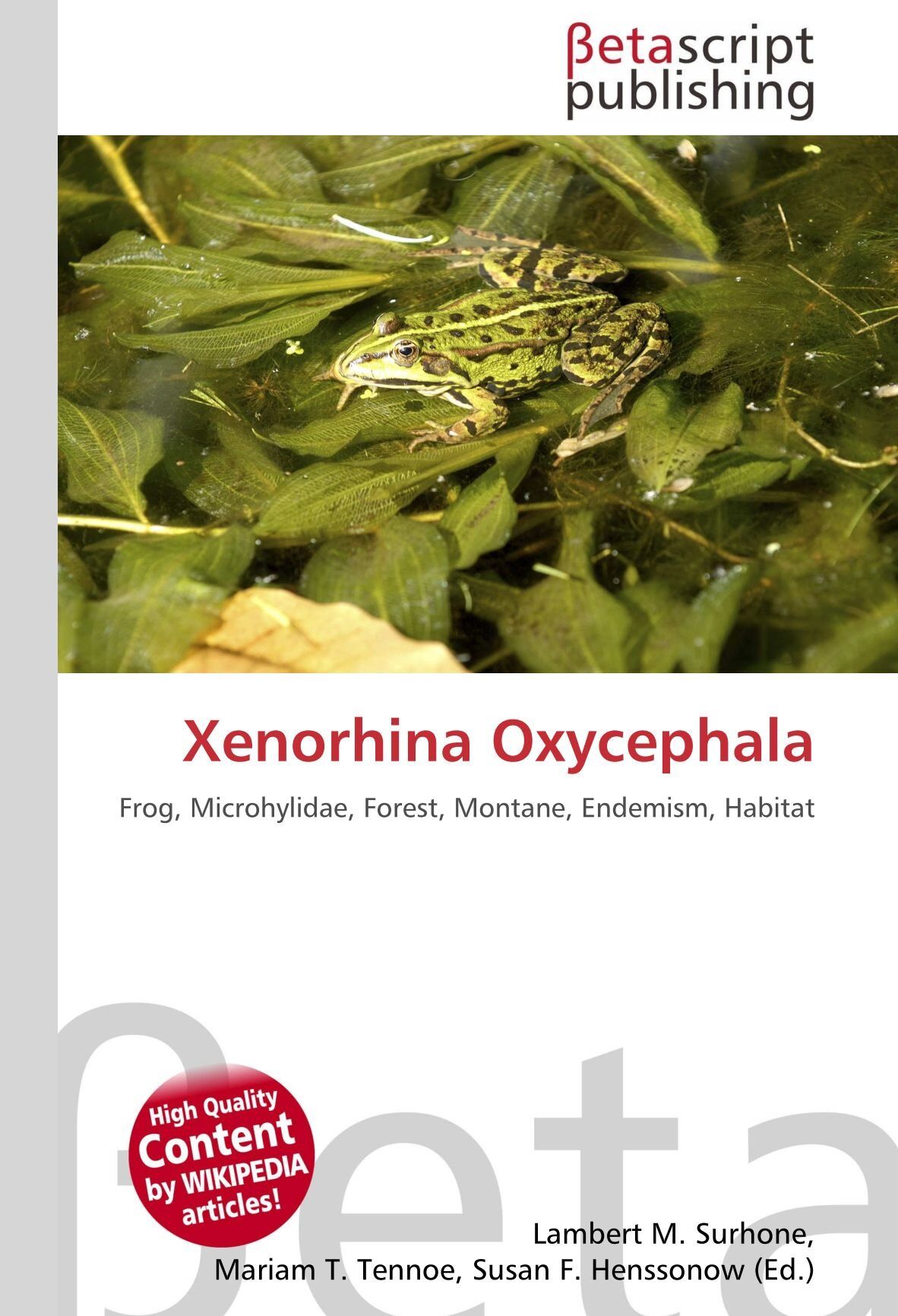 Xenorhina Oxycephala