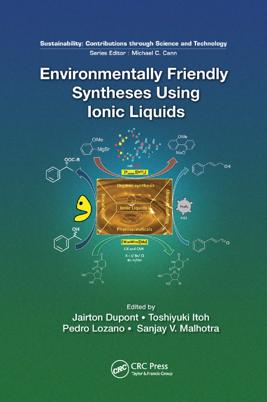 unbekannt Environmentally Friendly Syntheses Using Ionic Liquids (Sustainability, Contributions Through Science And Technology)