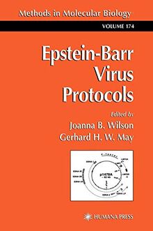 Epstein-Barr Virus Protocols (Methods in Molecular Biology, 174, Band 174)