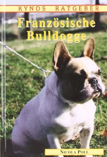 Französische Bulldogge