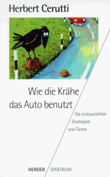 Wie die Krähe das Auto benutzt. Die erstaunlichen Strategien von Tieren.