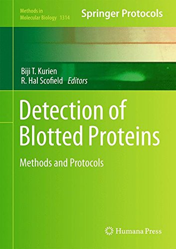 Detection of Blotted Proteins: Methods and Protocols (Methods in Molecular Biology)