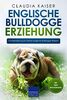 Englische Bulldogge Erziehung: Hundeerziehung für Deinen Englische Bulldogge Welpen