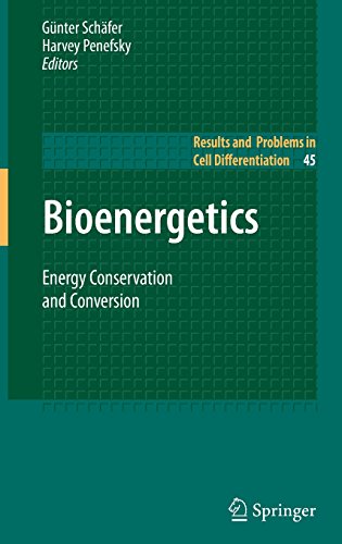 Bioenergetics: Energy Conservation and Conversion (Results and Problems in Cell Differentiation)