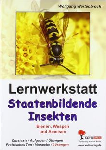 Lernwerkstatt Staatenbildende Insekten: Bienen, Wespen und Ameisen