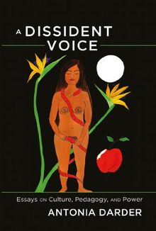 A Dissident Voice: Essays on Culture, Pedagogy, and Power (Counterpoints: Studies in the Postmodern Theory of Education)