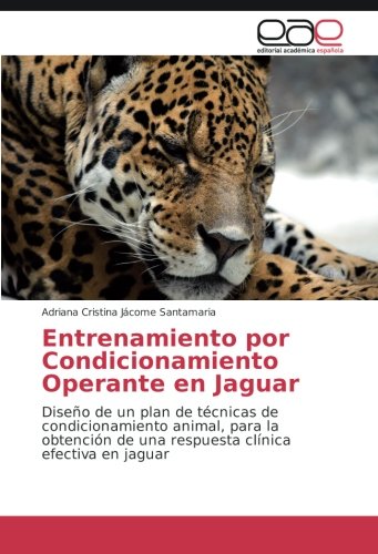 Entrenamiento por Condicionamiento Operante en Jaguar: Diseño de un plan de técnicas de condicionamiento animal, para la obtención de una respuesta clínica efectiva en jaguar
