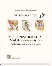 Netter Collection  Muskuloskelettales System Band 2: Wirbelsäule und untere Extremität